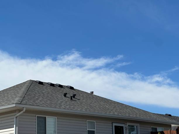 Best Roof Maintenance and Cleaning  in Howell, MI